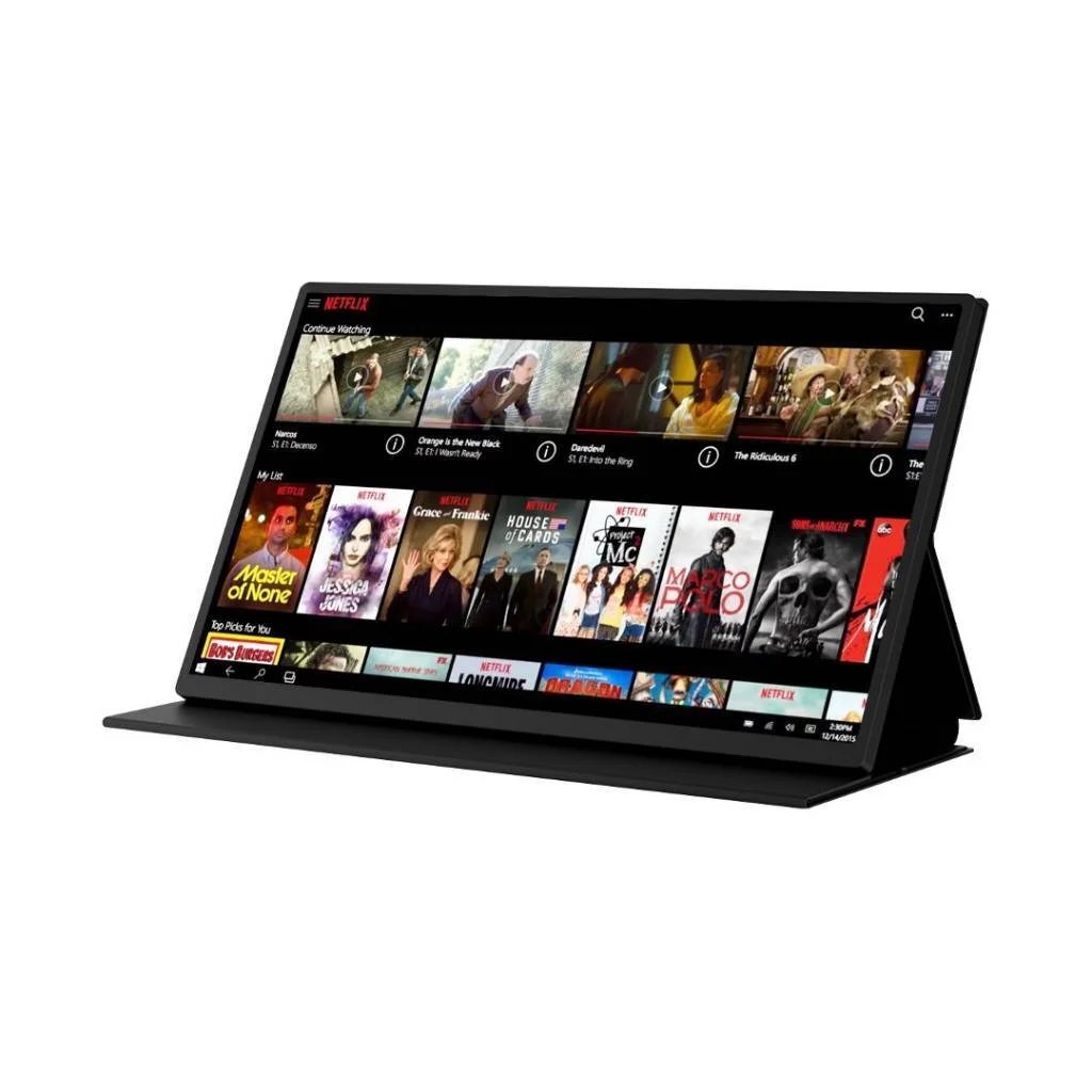 MONITOR PORTABLE 18.5